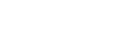 Item 1